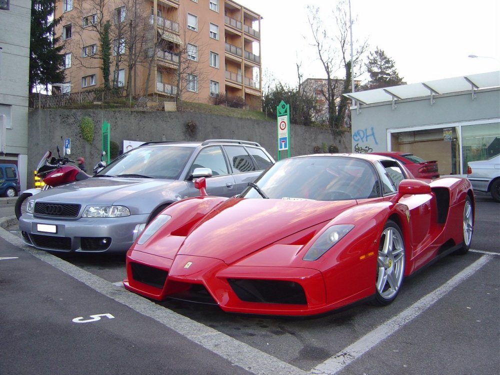 Dsc01547sh.jpg