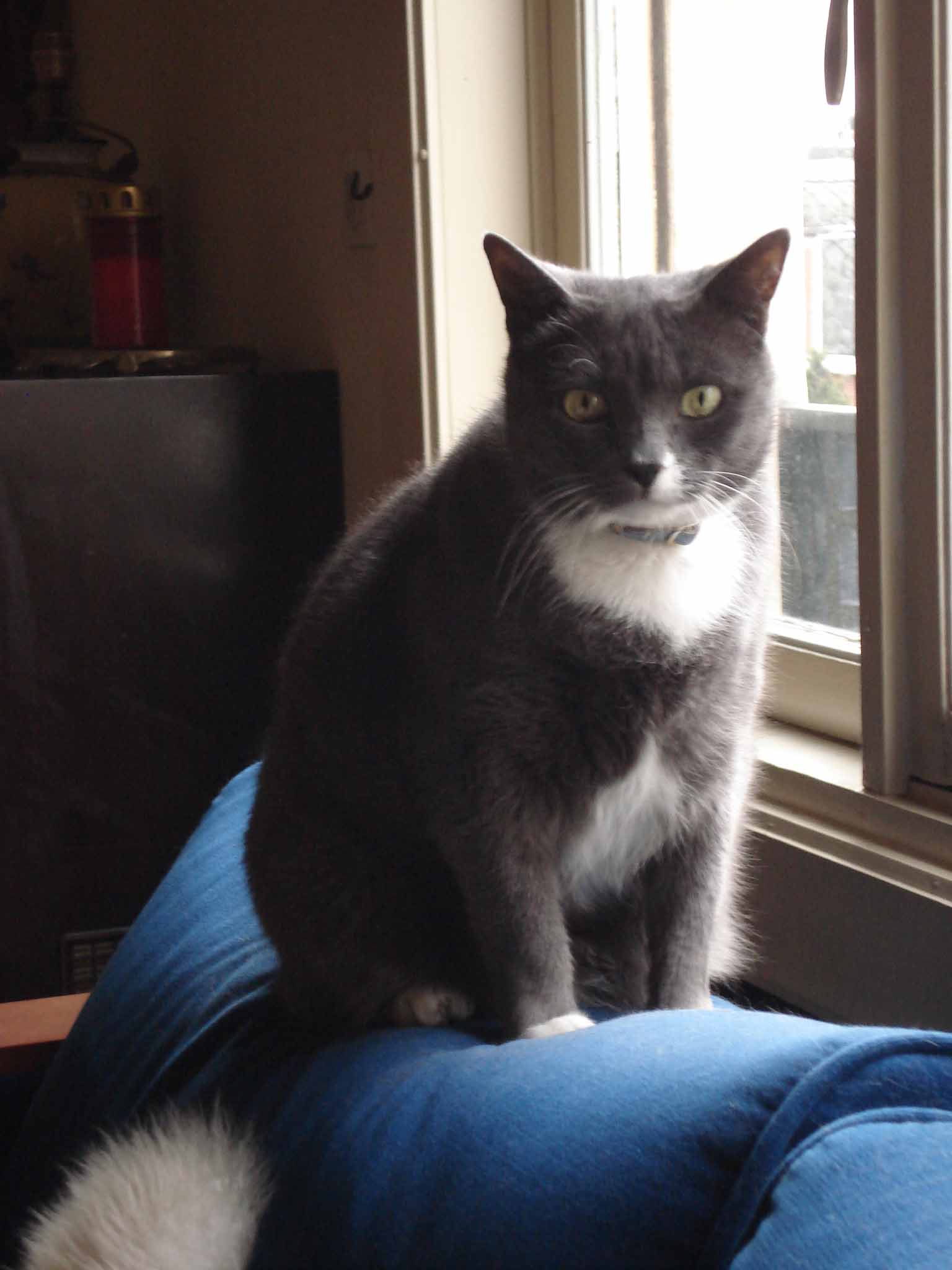 Filou 1 low Res.jpg