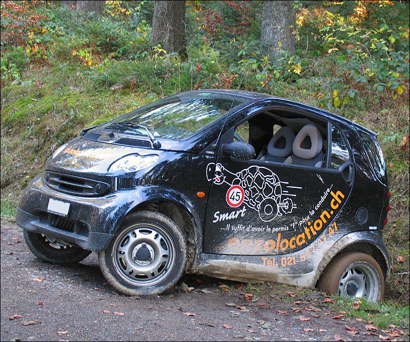 smart01.jpg