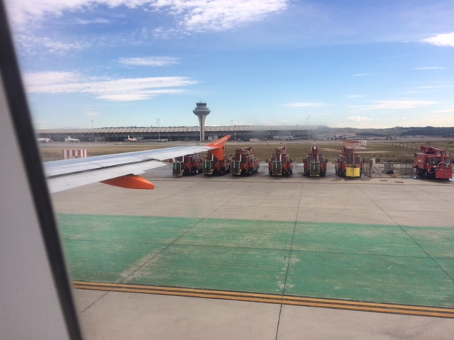 Icing 36L.jpg