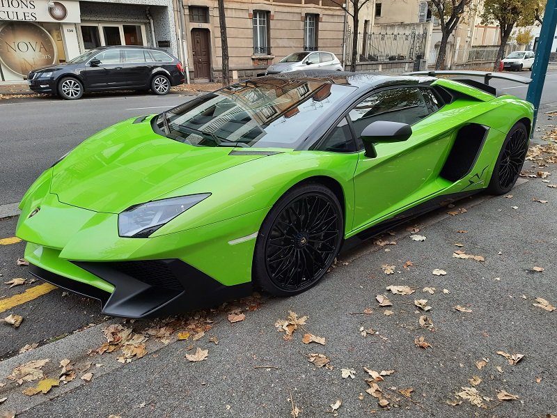 sv 5.jpg