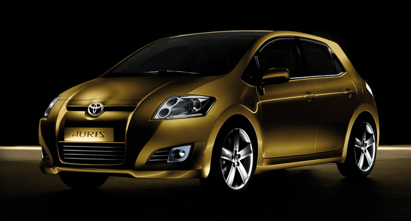 Auris 1 (2).jpg