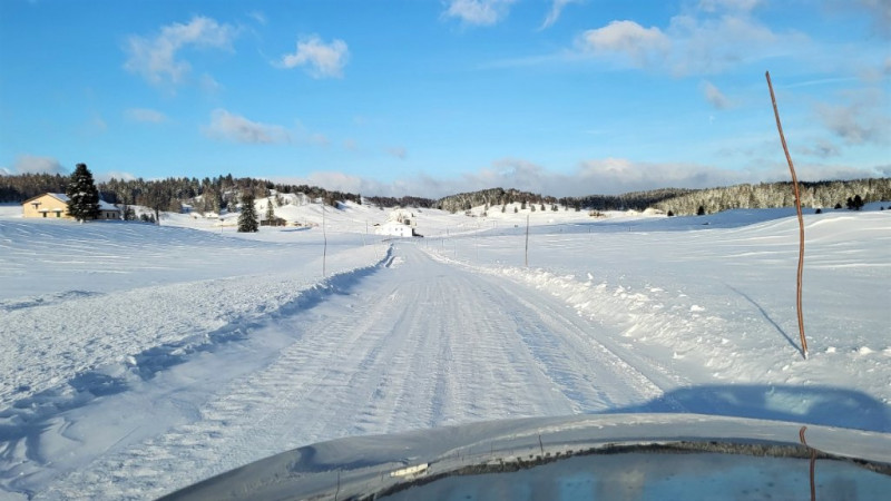 AMsnow1.jpg