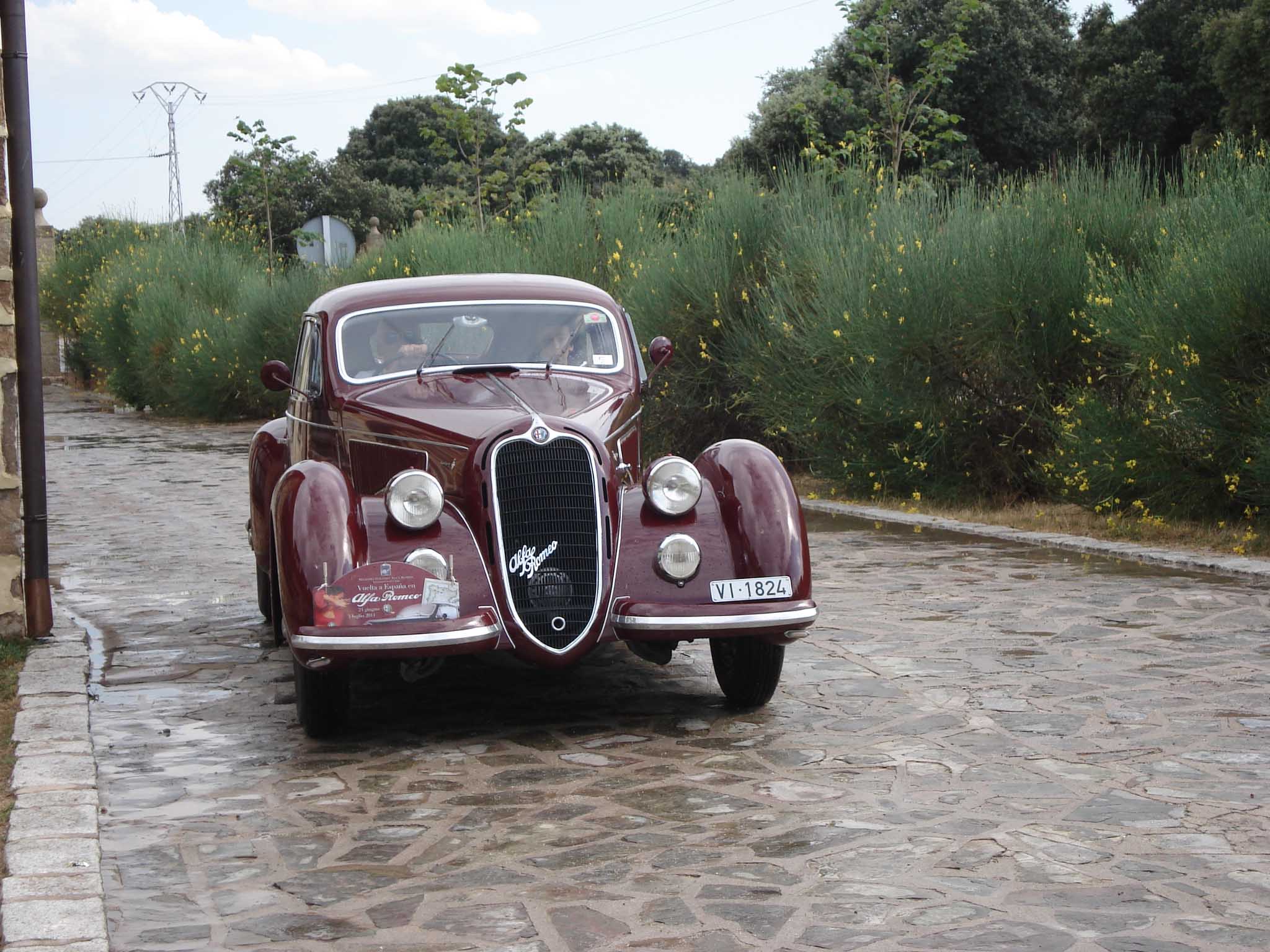 Alfa 2900 MM 1.jpg